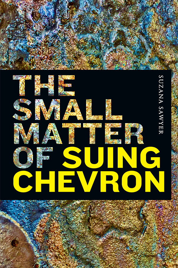 Book cover of The Small Matter of Suing Chevron