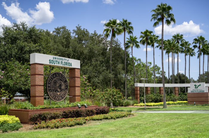 Entrance to the University of South Florida campus with a blue sky and palm trees